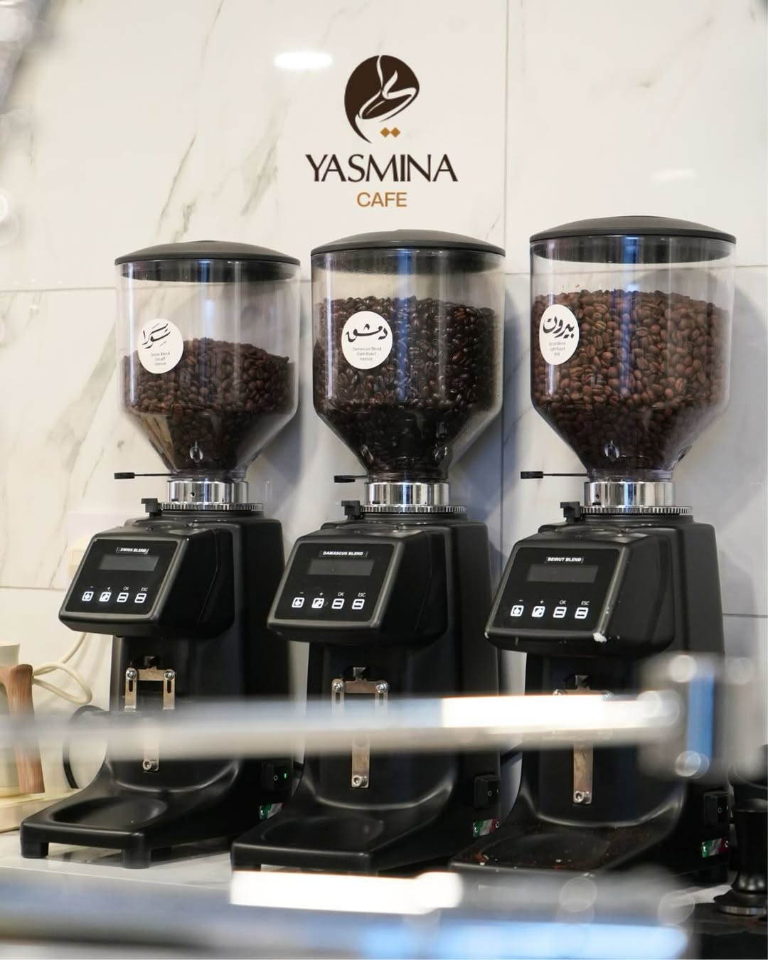Freshly roasted beans